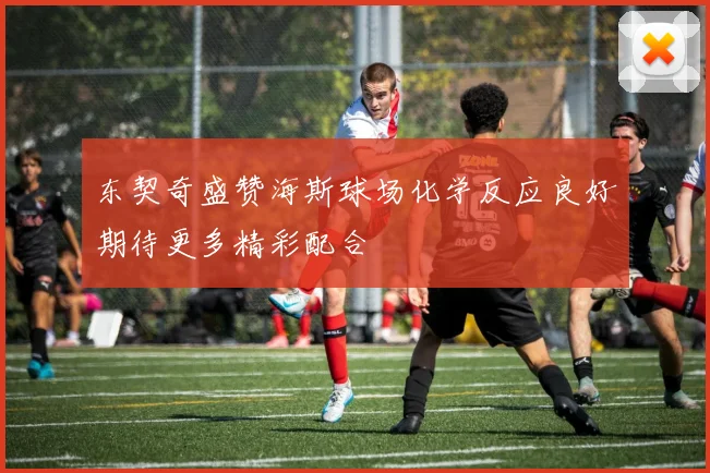 东契奇盛赞海斯球场化学反应良好期待更多精彩配合